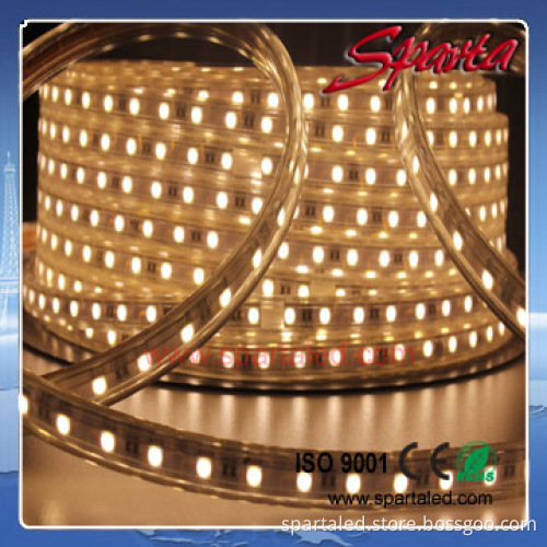 LED light strip waterproof outdoor bright 220V